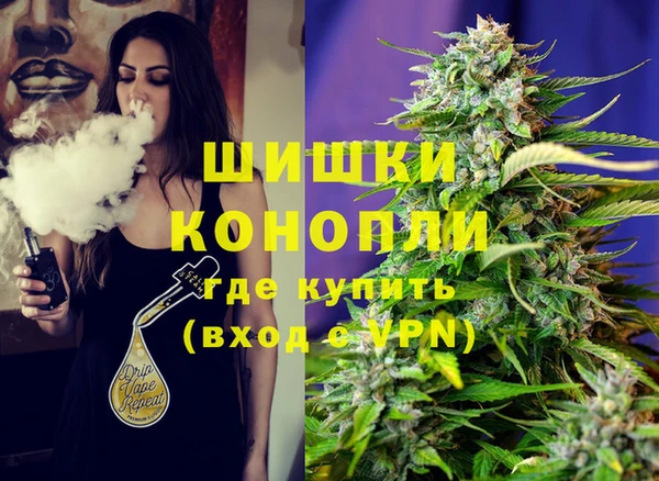 трава Белокуриха