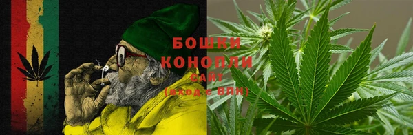 трава Белокуриха